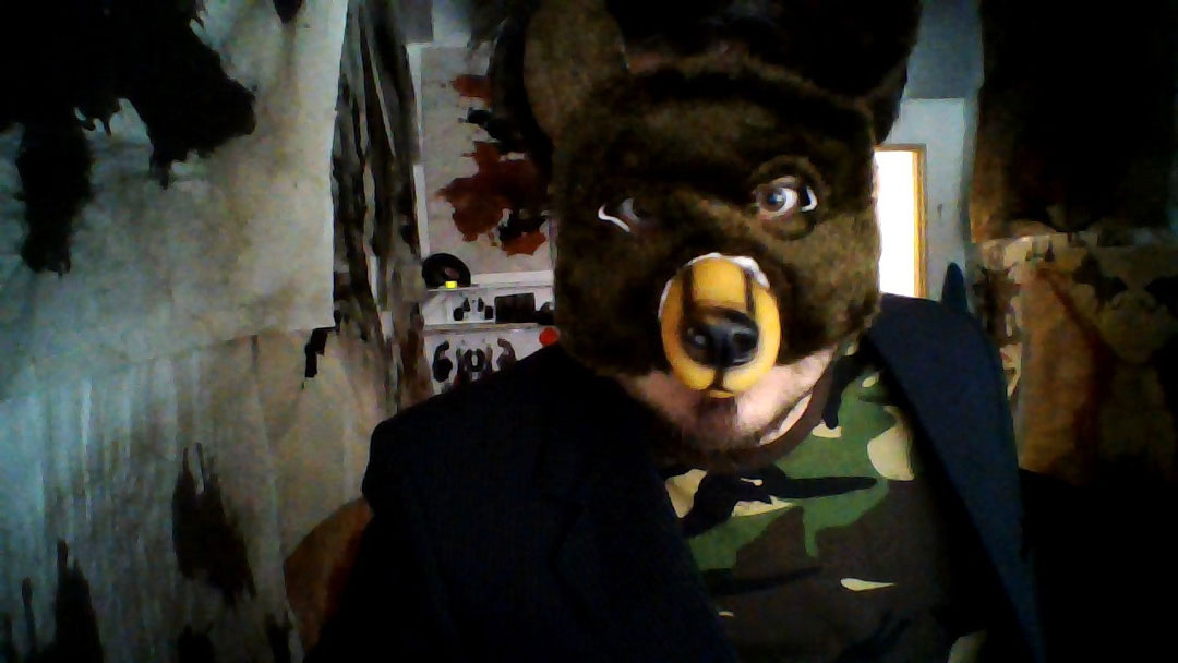 psychoactive bear therapy performance in sweden in umea wearing a bear mask