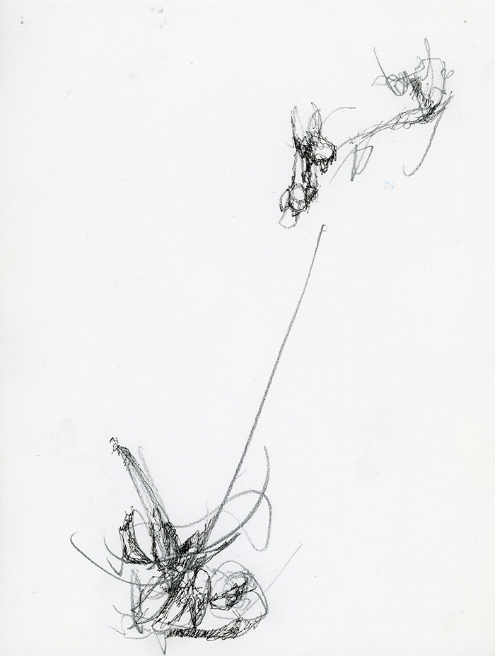 residual memories abstract contemporary drawing series