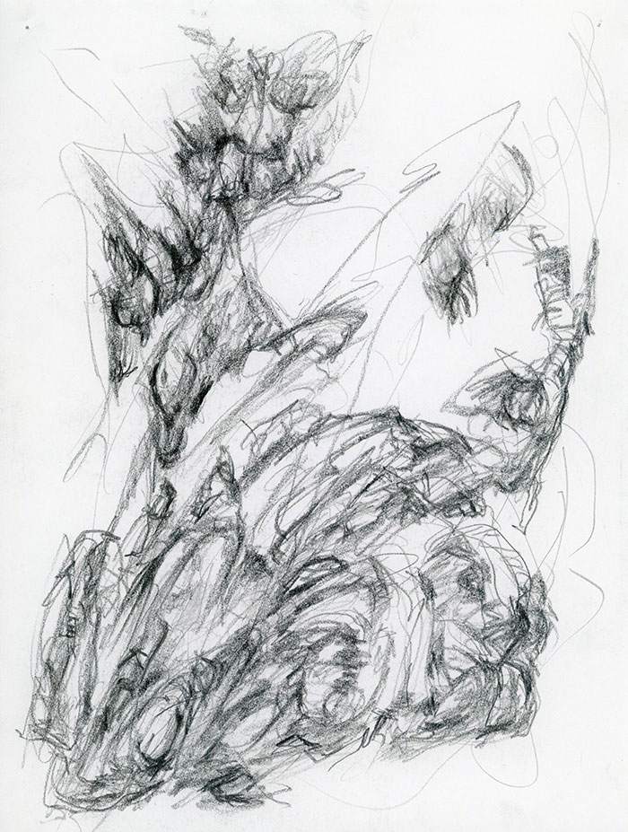 residual memories abstract contemporary drawing series
